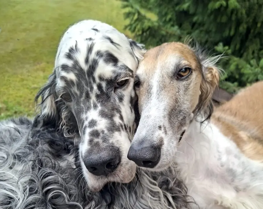Everybody Needs Somebody